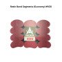 Resin Bond Segments (Economy) #400